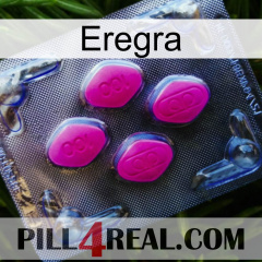 Eregra 02